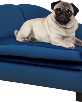 Luxury Fancy Dog Couch with Hidden Storage, Small Dog Sofa Bed with 2" Soft Foam, Modern Pet Furniture for Puppies & Little Breeds, Blue