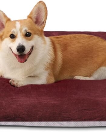 Super Soft Medium Dog Bed, 32 Inch Orthopedic Foam Pet Bed with Anti Slip Bottom, Removable Washable Cover, Burgundy