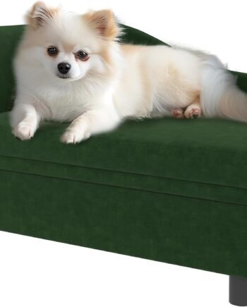 Luxury Fancy Dog Couch with Hidden Storage, Small Dog Sofa Bed with 2" Soft Foam, Modern Pet Furniture for Puppies & Little Breeds, Green