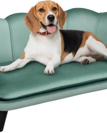 Velvet Large Dog Couch with Foam Cushion, Soft and Cute Bed with Pearl Design, Sofa for Big and Medium Dogs, Green