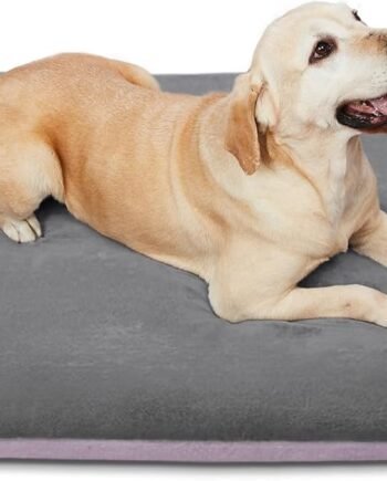Super Soft Large Dog Bed, 39 Inches Orthopedic Foam Pet Beds with Anti Slip Bottom, Dog Sleeping Mattress with Removable and Washable Cover, Grey