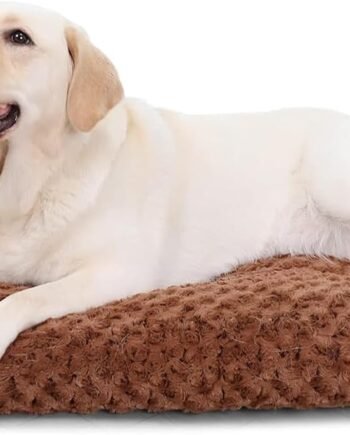 Washable Dog Bed Deluxe Plush Dog Crate Beds Comfy Kennel Pad Anti-Slip Pet Sleeping Mat for Large, Jumbo, Medium, Small Dogs Breeds, 41" x 27", Brown