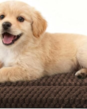 Dog Bed Crate Mat, Soft Durable Washable Anti-Slip Kennel Pad for Dogs & Cats, Reversible (Dark Brown, S(24"*18"*1.5"))