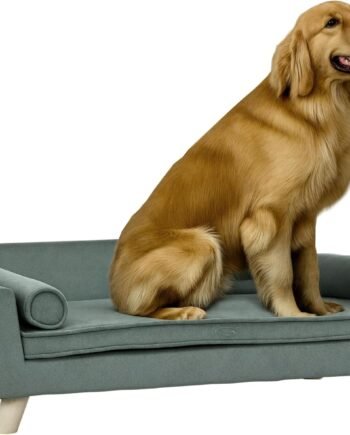 39" Dog Couch with Removable Pillows, Foam Pet Sofa, Cat Sofa with Removable Washable Cushion & Water-Resistant Fabric, Dog Sofa for Medium and Large Dogs, Gray