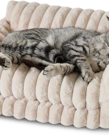 Cat Bed Fluffy Plush Mutifuctional Double-Layer Soft Pet Couch Orthopedic Sofa Nest Beds for Small Cats and Dogs, Cream (21x15x8 inch)