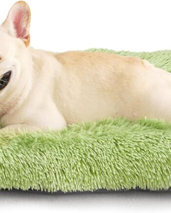 Fluffy Dog Crate Bed for Medium Dogs, Plush Faux Fur Crate Pad, Calming Anti Anxiety Medium Dog Bed, Washable Soft Warm Mat with Non-Slip Bottom, Green