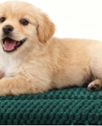 Dog Bed Crate Mat, Soft Durable Washable Anti-Slip Kennel Pad for Dogs & Cats, Reversible (Dark Green, S(24"*18"*1.5"))