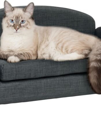 Cat Sofa Bed, Pet Couch for Indoor Cats Elevated Cat Beds with Removable Washable Mattress Cover for Kitten, Puppy or Small Animal- 31.5" Wide, Gray